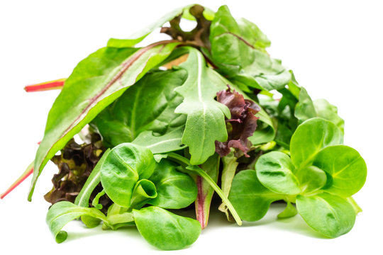 Grüner Salat isoliert 