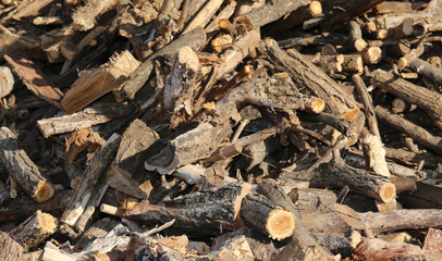 woodshed with many pieces of wood ready to be burned to keep war