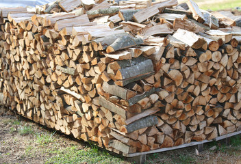 woodshed with many pieces of wood ready to be burned to keep war
