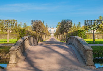 Ancient bridge over the river in the park