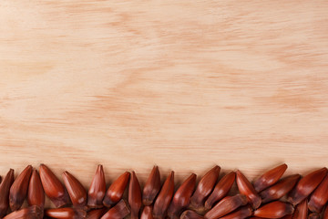 Pinhao - brazilian pine
