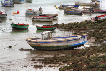 Fototapeta na wymiar fishing boats moored on the shore of the sea
