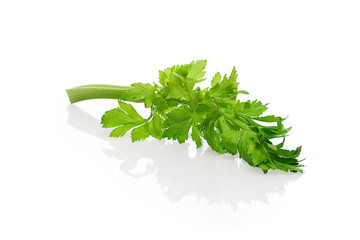 Celery, halm and leaves with reflection on white background