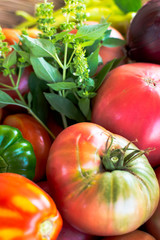 Big fresh red tomatoes