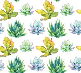 Succulents. Seamless pattern. Watercolor