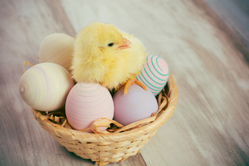 Easter eggs and chicken in a basket on wooden boards