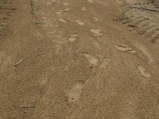 Passos na areia.