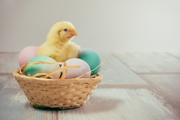 Easter eggs and chicken in a basket on wooden boards