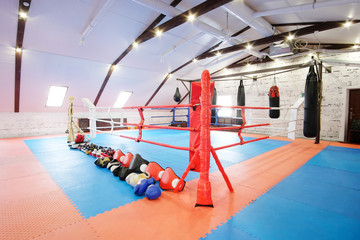 Naklejka premium Interior of a boxing hall