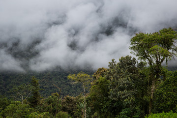 Fototapeta na wymiar Cloudscape in the Amazon Basin