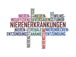 Nierenerkrankungen