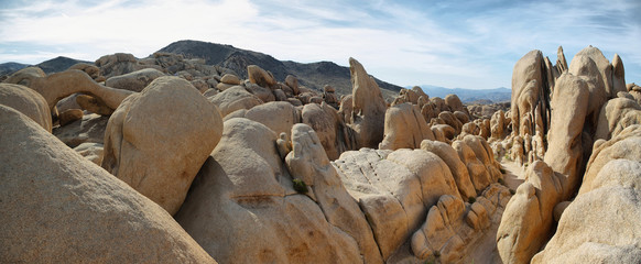 Rocks in Joshua Tree National, California