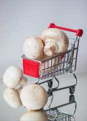 Fototapete bei efototapeten.de bestellen   