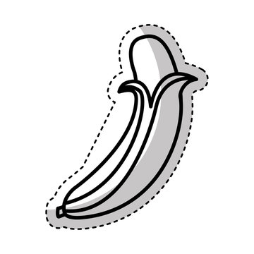 banana fresh fruit drawing icon vector illustration design