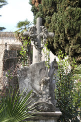 grave in the cemetery