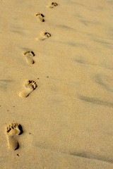 Footprints in the sand