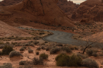 Winding road in Valley of Fire State Park