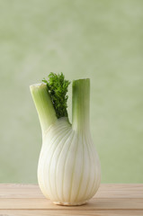 Raw Fresh Fennel Bulb on Wood Plank Table with Light Green Background