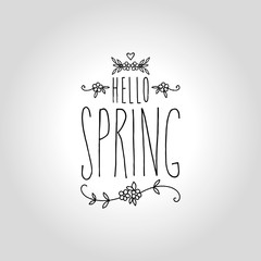 hello spring lettering, handwritten and calligraphy vector illustration