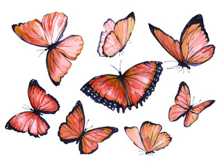 Collection of red butterflies flying. Watercolor illustration.
