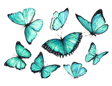 A set of flying turquoise butterflies. Watercolor illustration