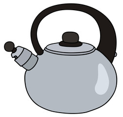 Stainless steel teapot
