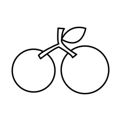 grapes fresh fruit drawing icon vector illustration design