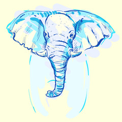hand drawn illustration with color elephant. vector eps 8.