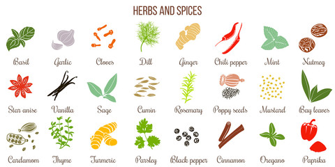 Big set of simple flat culinary herbs and spices . Silhouettes