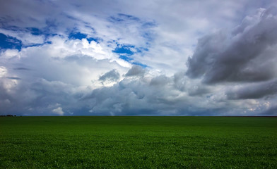 Fototapeta na wymiar grass on a background of storm clouds.