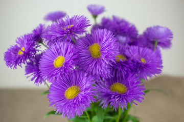 wild flowers, gift spring bouquet.