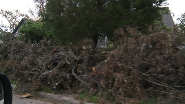 Stacked branches of hurricane-damaged trees at curbside