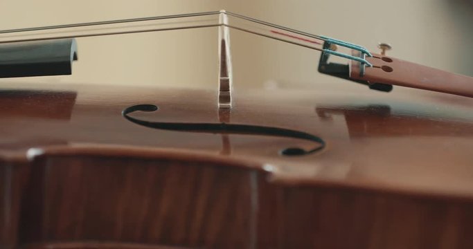 Viola or violin, close detail of bridge and strings