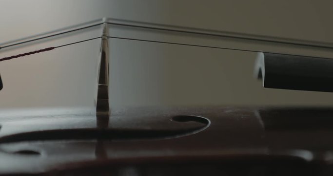 Viola or violin, close detail of bridge and strings