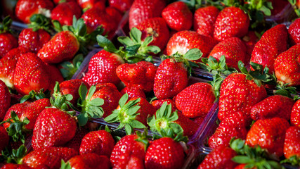 Fresh Strawberry Background. sweet strawberries