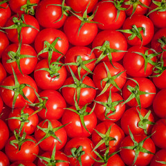 red tomatoes background. Group of tomatoes.tomato
