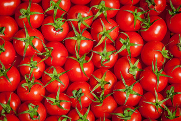 red tomatoes background. Group of tomatoes.tomato