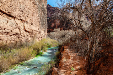 The Colorado River flowing through the Havasupai Canyon,in Supai, AZ, looks blue green due to  the chemical composition of the rocks.