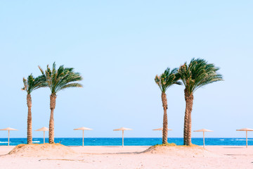 Obraz premium summer blue beach