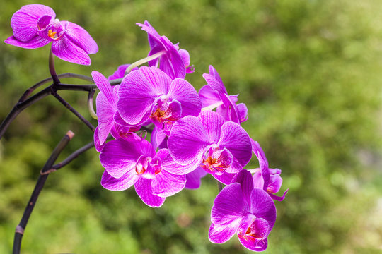 Andrija photos, images, assets | Adobe Stock