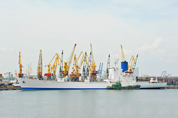 Fototapeta premium Bulk cargo ship under port crane
