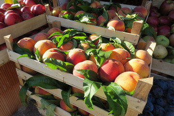 Fresh peaches at the market in Bar-city, Montenegro