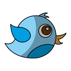 cute bird isolated icon vector illustration design