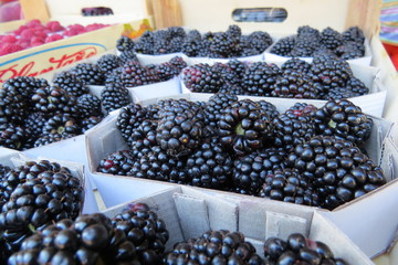 BlackBerry (bramble, dewberry) at the market in Bar-city, Montenegro
