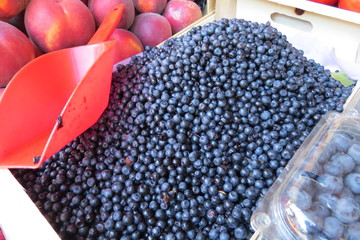 A bilberry at the market in Bar-city, Montenegro
