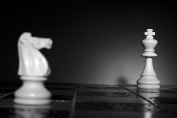 Scacchi fotografati su una scacchiera