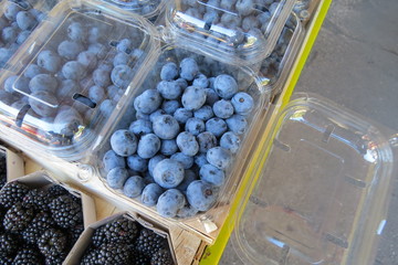 A packs of blueberries at the market in Bar-city, Montenegro