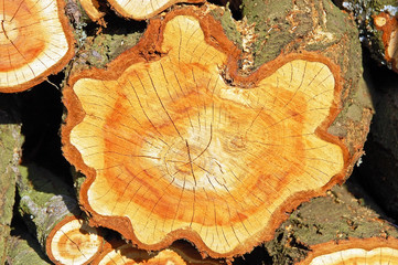 Stacked log as background