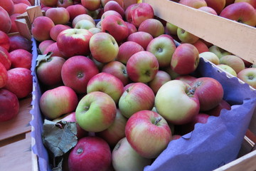 Red apples at the market in Bar-city, Montenegro
