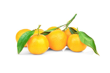 Set of tangerines with leaves on white background